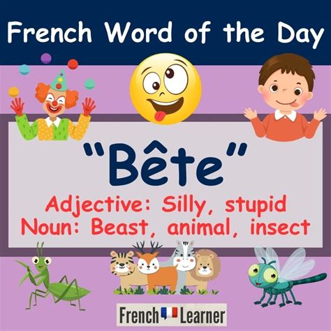 bete french translation.